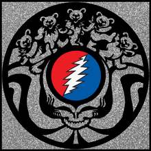 Load image into Gallery viewer, glitter-silver