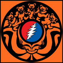 Load image into Gallery viewer, solid-orange
