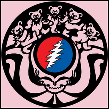 Load image into Gallery viewer, solid-pink