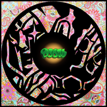 Load image into Gallery viewer, floral-paisley