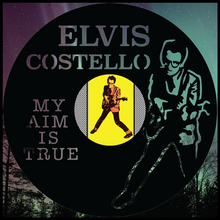 Load image into Gallery viewer, Elvis Costello