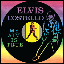 Load image into Gallery viewer, Elvis Costello