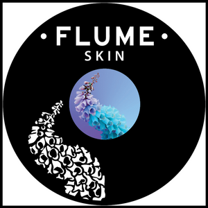 Flume vinyl art