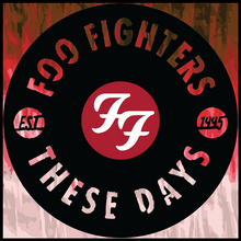 Load image into Gallery viewer, Foo Fighters