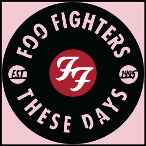 Foo Fighters – Carved Vinyl Record Art Decor – Astro Vinyl Art Foo Fighters – Carved Vinyl Record Art Decor – Astro Vinyl Art