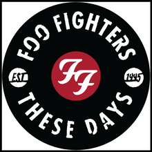 Load image into Gallery viewer, Foo Fighters vinyl art