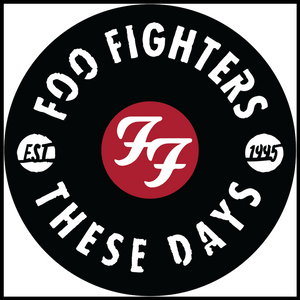 Foo Fighters vinyl art