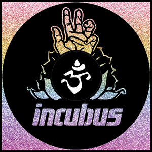 Incubus – Carved Vinyl Record Art Decor – Astro Vinyl Art Incubus – Carved Vinyl Record Art Decor – Astro Vinyl Art